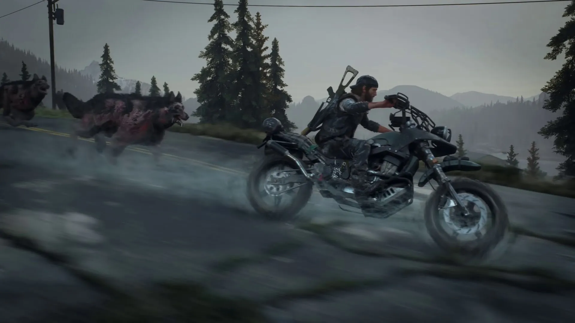 Days Gone